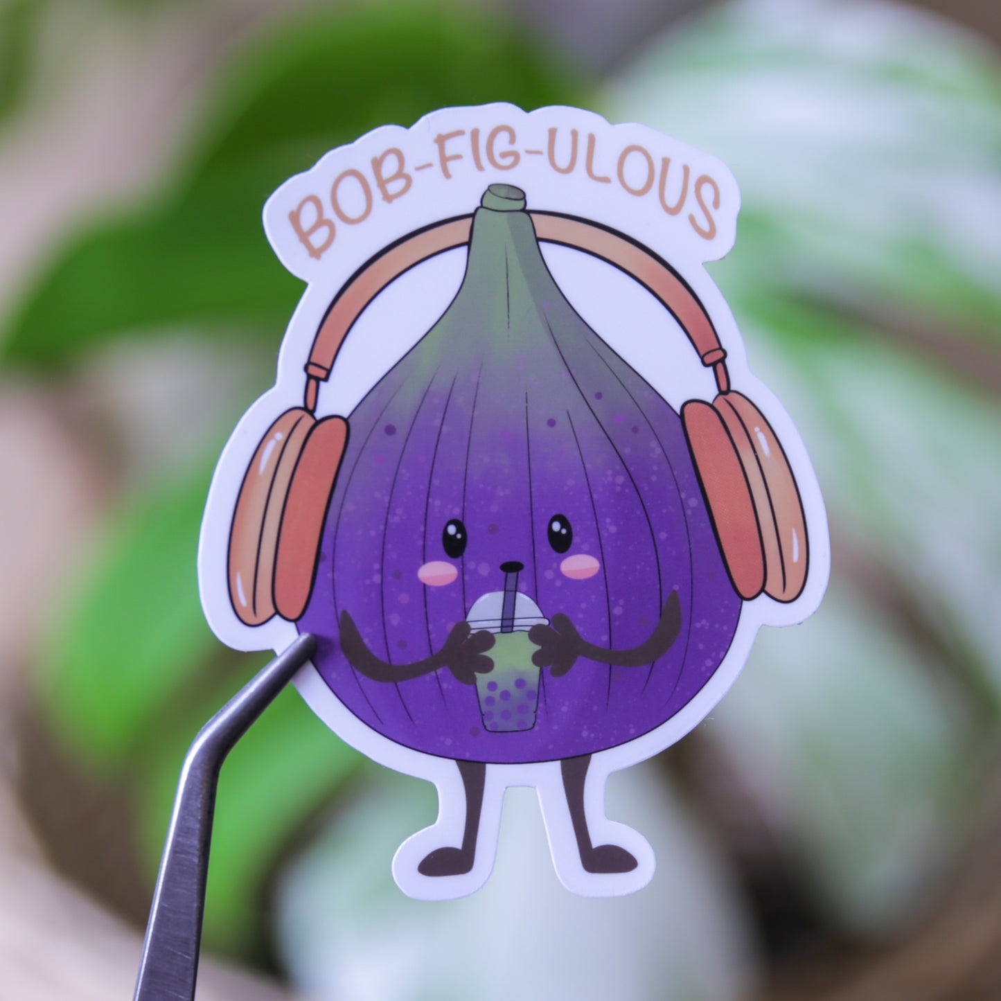 Mr. Bob-Fig-Ulous