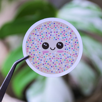 Mr. Sprinkles
